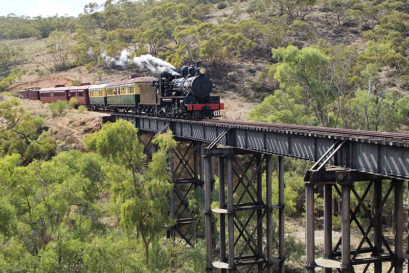 pichi richi train